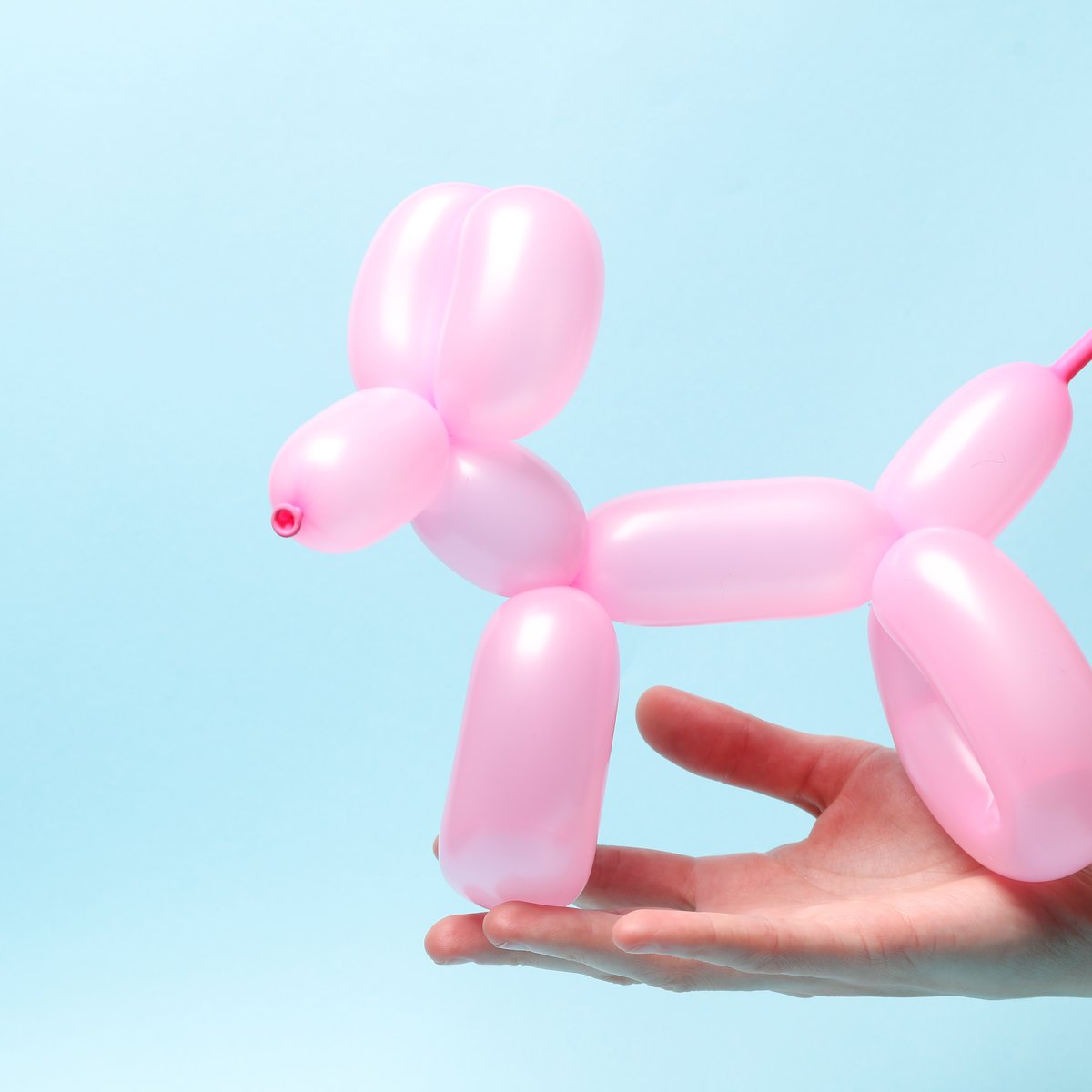 A pink balloon-dog balanced on a hand against a blue background — a playful nod to morning puffiness