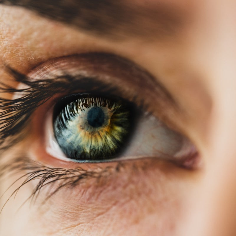 Macro close-up of a human eye and iris in soft natural light